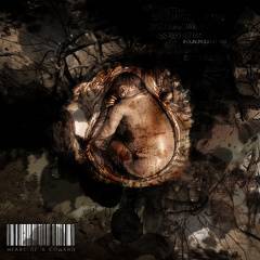 Heart Of A Coward : Collisions